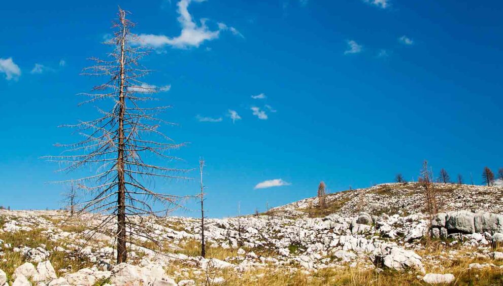 Alpine Agriculture and climate change impact on farmers has been devastating worldwide