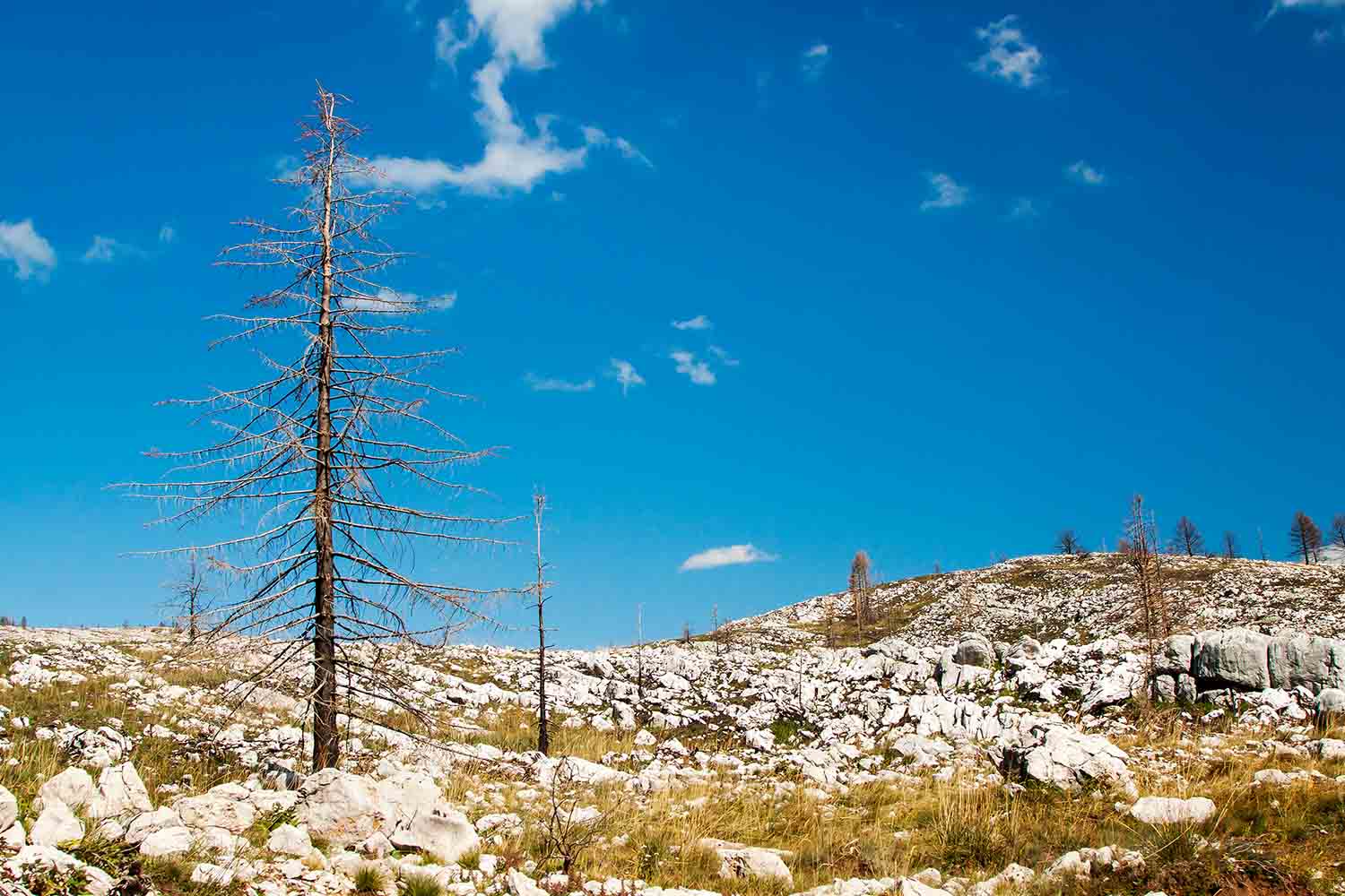 Alpine Agriculture and climate change impact on farmers has been devastating worldwide