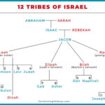 Israel-Hamas Conflict Analysis